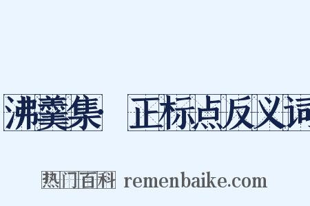 沸羹集·正标点反义词是什么意思的图片